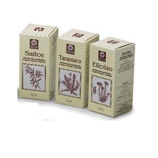 OLIO GERME GRANO 100 ML 501