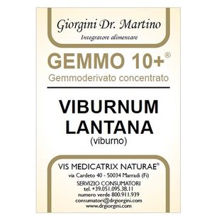 VIBURNO LIQUIDO ANALCOLICO GEMMO 10+ 500 ML