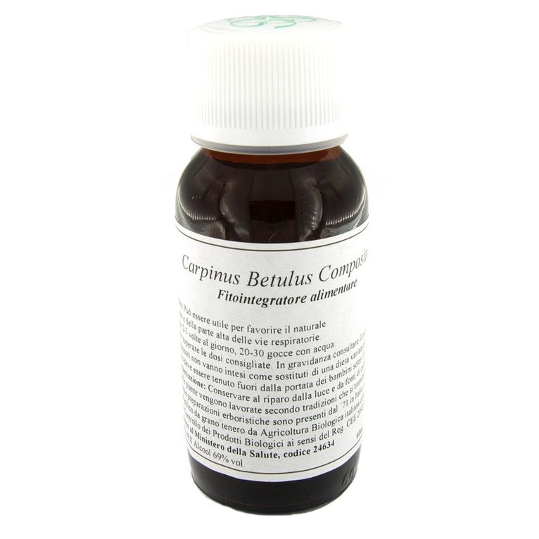 lvs 20n carpinus betulus compositum