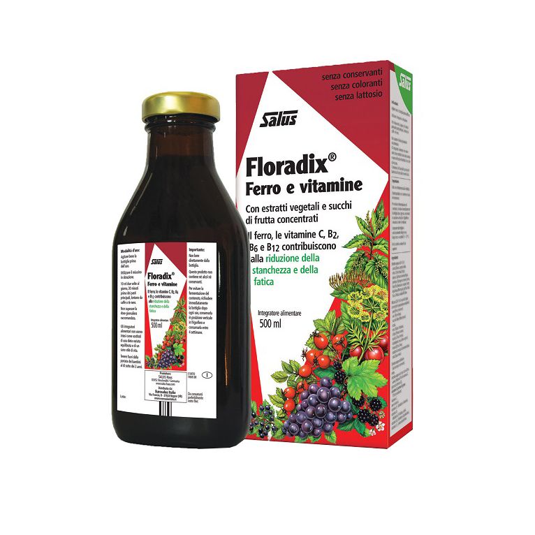 floradix ferro e vitamine 500 ml