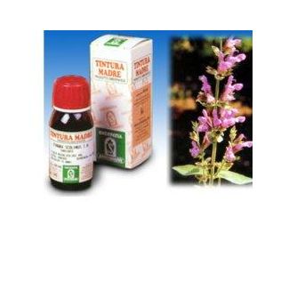 SALVIA 25 50ML TM