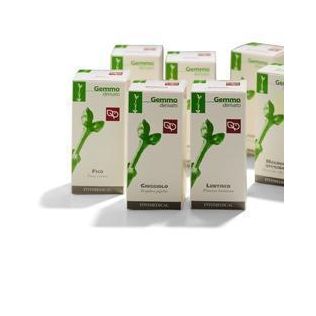 MAGNOLIA OFFICINALE MACERATO GLICERICO 100 ML