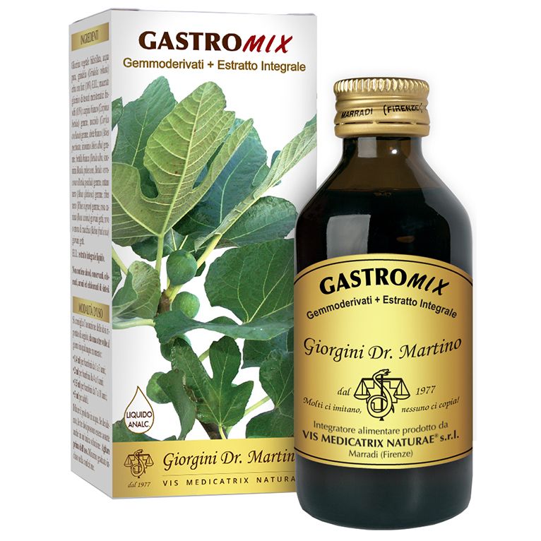 gastromix liquido analcolico 100 ml