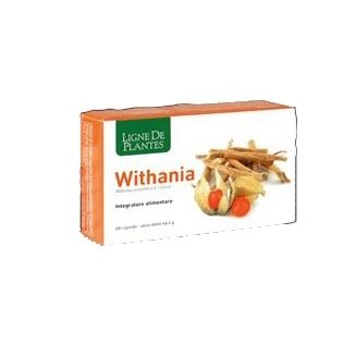 WITHANIA 60 CAPSULE