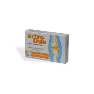 ARTRODUE 30 CAPSULE 0,2 G