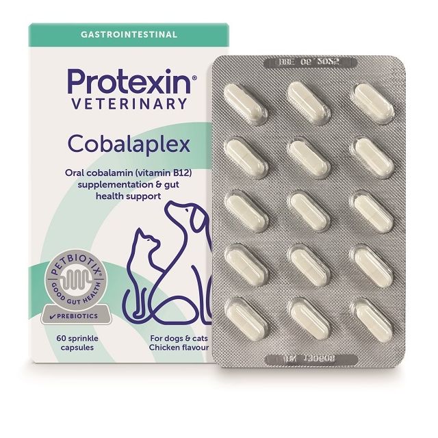 cobalaplex-60-capsule