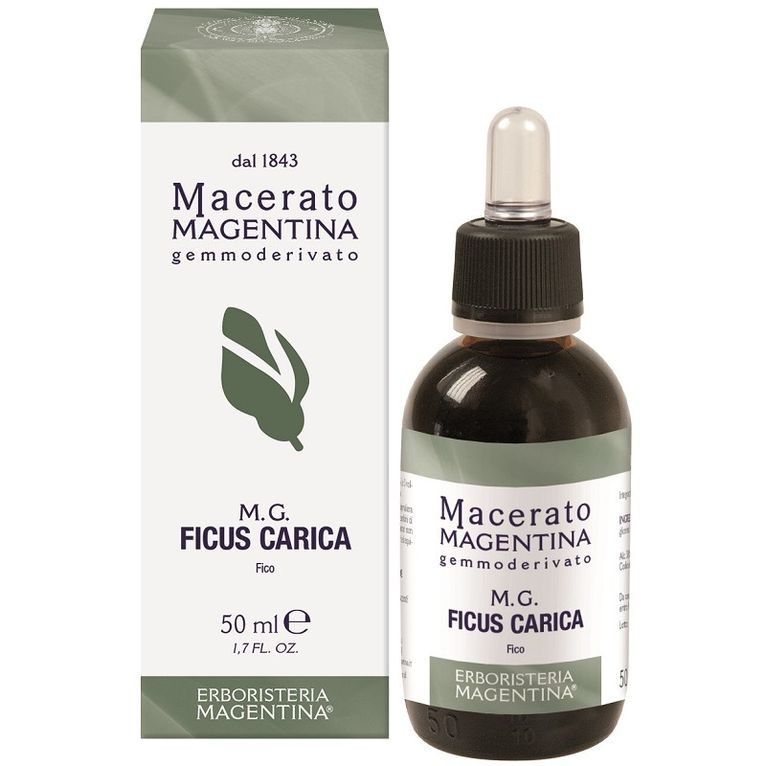 ficus carica macerato magentina 50 ml