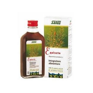EQUISETO SUCCO 200 ML