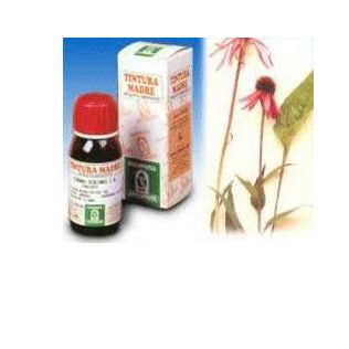 ECHINACEA 59 50ML TM