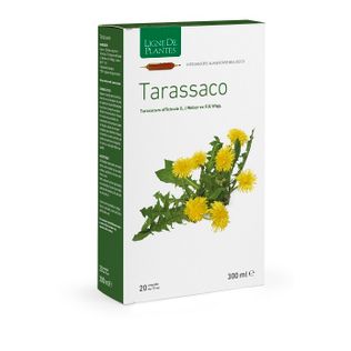 TARASSACO BIOLOGICO 20 AMPOLLE BEVIBILI DA 15 ML