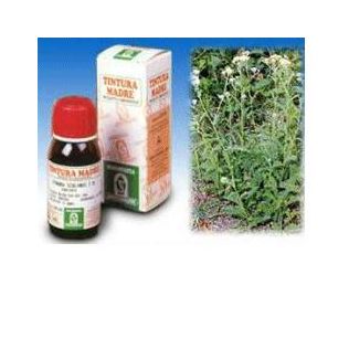 ACHILLEA 51 TINTURA MADRE 50 ML