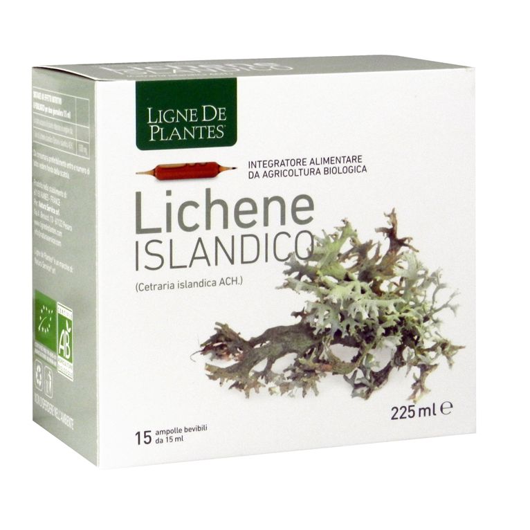 ligne de plantes lichene islandico 15 ampolle x 15 ml