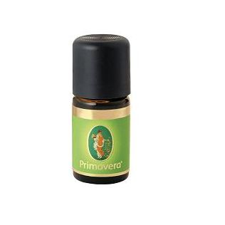 CANNELLA FOGLIE 6% OLIO ESSENZIALE 10 ML