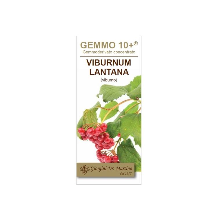 viburno liquido analcolico gemmo 10+ 100 ml