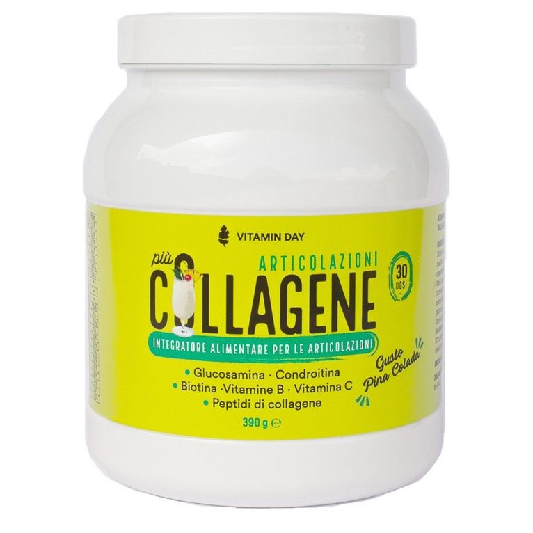 vitamin day collagene articolazioni 360 g