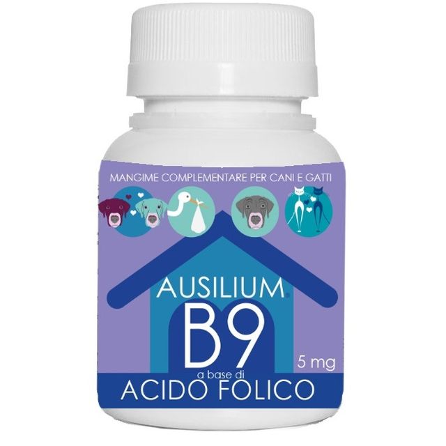 ausilium-b9-vet-acido-folico-9-g