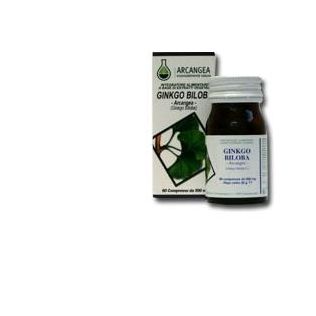 GINKGO BILOBA 60 CAPSULE 500 MG