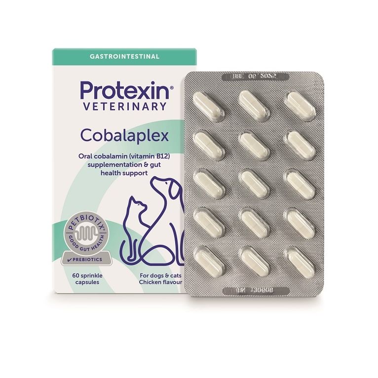 cobalaplex 60 capsule