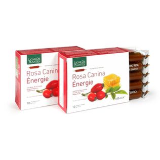 ROSA CANINA ENERGIE BIOLOGICO 10 AMPOLLE BEVIBILI DA 10 ML