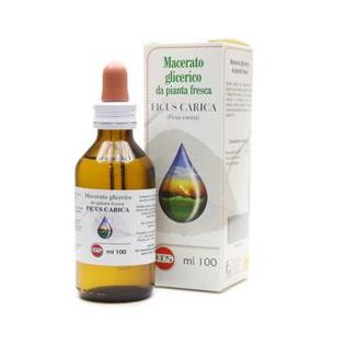FICUS CARICA MACERATO GLICERICO 100 ML