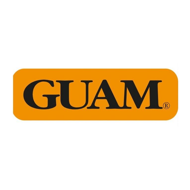 guam fangogel snellente addome-fianchi 150 ml