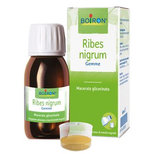 RIBES NIGRUM BOIRON MACERATO GLICERICO 60 ML