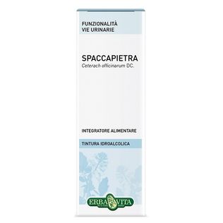 SPACCAPIETRA TINTURA IDROALCOLICA 50 ML EBV