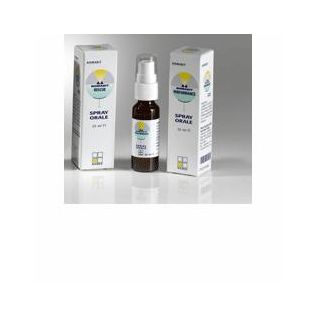 NOMABIT STAR OF BETHLEHEM GL 6