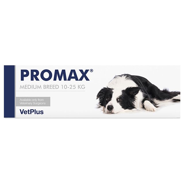 promax-medium-breed-18-ml