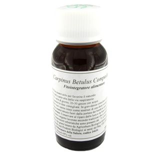 LVS 20N CARPINUS BETULUS COMPOSITUM