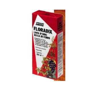 FLORADIX FERRO E VITAMINE 250 ML