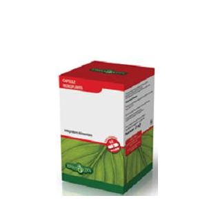 BOSWELLIA SERRATA 60 CAPSULE 400 MG