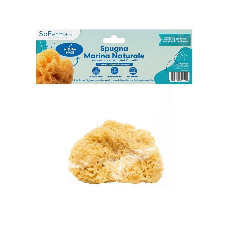 spugna marina naturale maxi sofarmapiu'