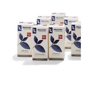 FIENO GRECO TINTURA MADRE 100 ML