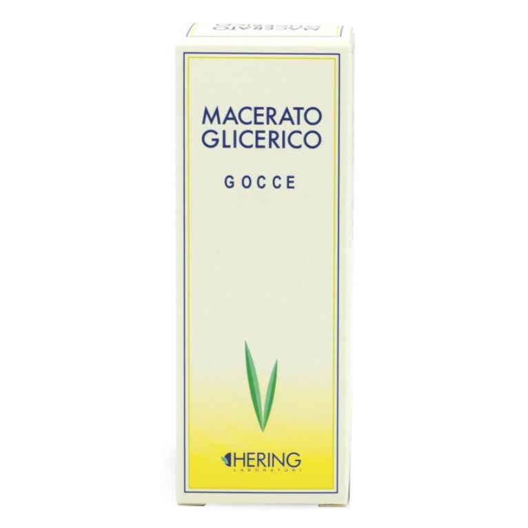tilia tomentosa gemme macerato glicerico 60 ml