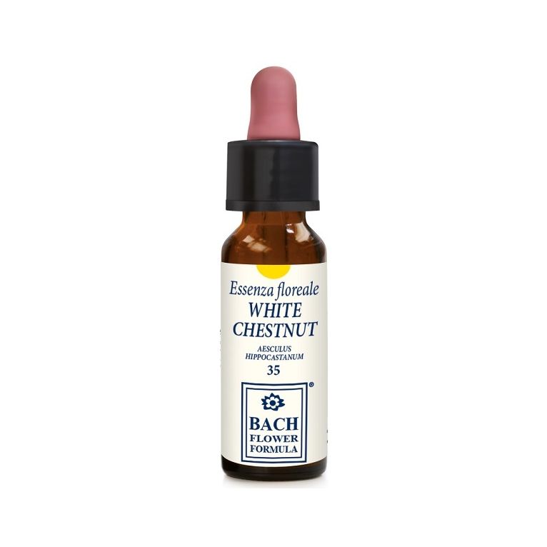 white chestnut original 10 ml