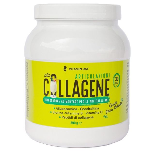 vitamin-day-collagene-articolazioni-360-g