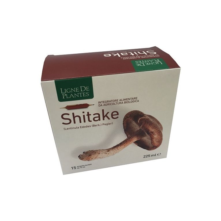ligne de plantes shitake bio 15 ampolle da 15 ml