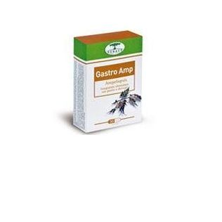 GASTRO AMP 30 CAPSULE