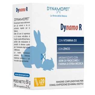 DYNAMO R 20 STICK DA 2,5 G