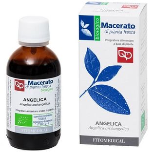 ANGELICA TINTURA MADRE 50 ML BIO