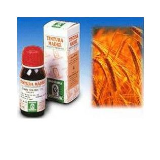 AVENA SATIVA 3 50ML TM
