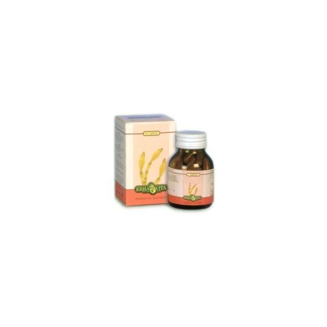 gymnema-sylvestre-60-capsule-350-mg