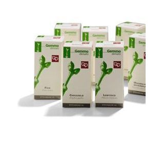 AGNOCASTO MACERATO GLICERICO 100 ML