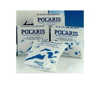 POLARIS GHIACCIO ISTANTANEO IN BUSTA 2 PEZZI