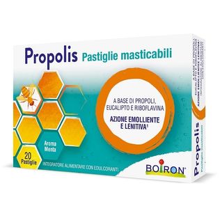 PROPOLIS PASTIGLIE MENTA 20 G