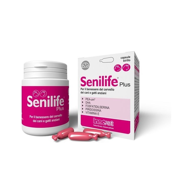 senilife plus 60 capsule