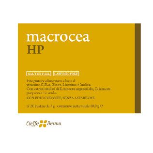 MACROCEA HP 20 BUSTINE