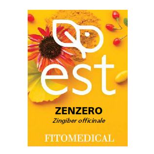 ZENZERO ESTRATTO SECCO 60 TAVOLETTE