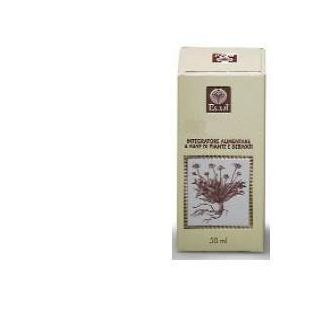 FICO GEMME ESTRATTO ANALCOLICO 50 ML